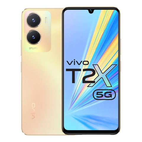 related vivo T2x image