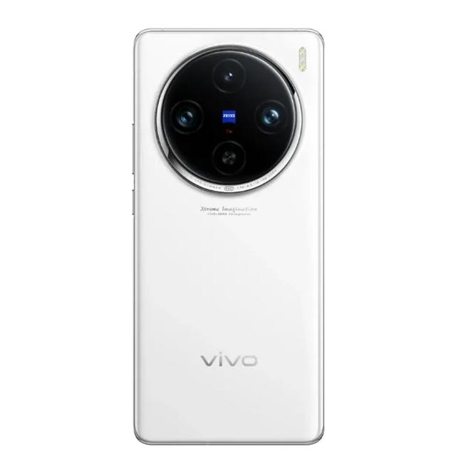 vivo X100s Pro back view