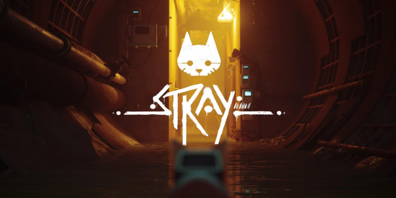 Stray