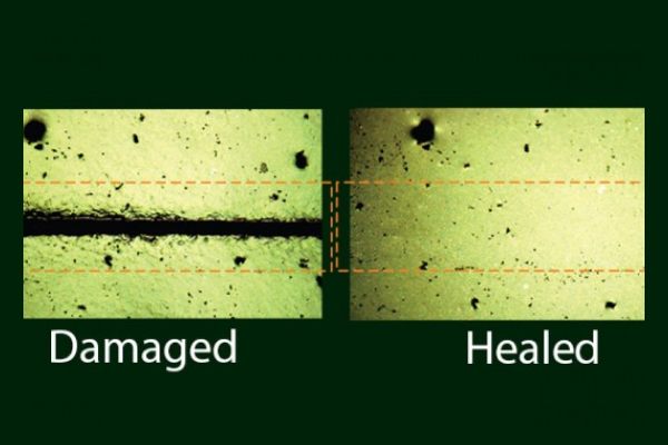 Self-Healing Materials - Upcoming Features to Smartphones